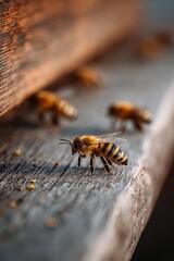 Close-up of a bee on a wooden surface with blurred background.