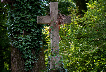 a moss covered wooden cross stands in the forest next to a tree overgrown with ivy
