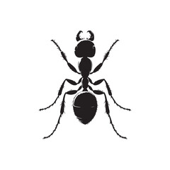 Worker Ant Vector Silhouette, Nature Graphic