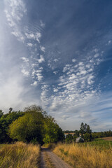 Abgeerntete Felder am Waldrand mit klaren Wolken am Abend und Weg