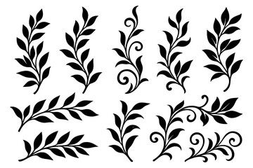 Elegant floral branch silhouettes with decorative leaves and swirling botanical accents, Transparent Background