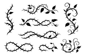 Decorative floral vine ornaments with elegant leaves and swirling branches, Transparent Background