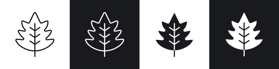 Oak leaf with veins icons graphic vectors
