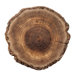 Obraz premium Detailed cross-section of tree trunk showcasing growth rings and textured bark on transparent background