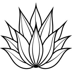 Minimalist Aloe-Cactus Hybrid Drawing