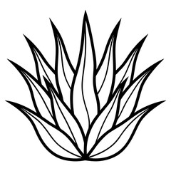 Minimalist Aloe-Cactus Hybrid Drawing