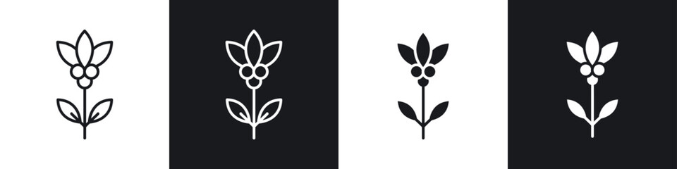 Coffee plant icons graphic vectors