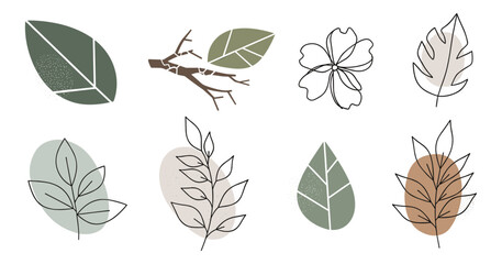Botanical Illustration Set with Leaves, Twig, and Flower in Minimalist Style, Earthy Tones, and Textured Details, Vector Illustration