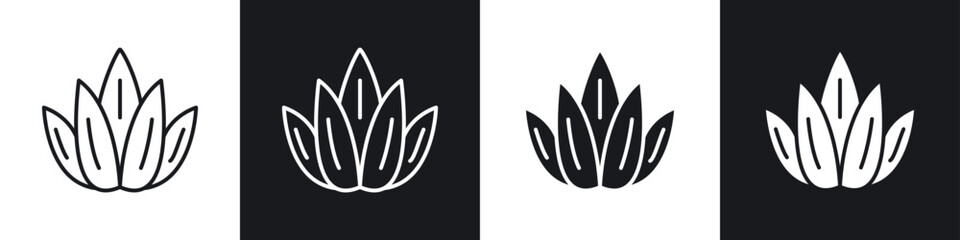 Aloe vera icons graphic vectors