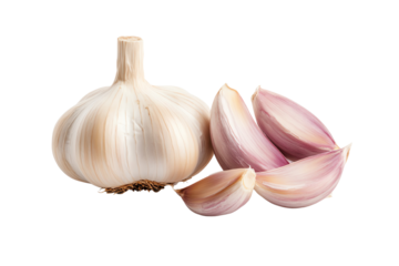 Fresh garlic with cloves on a white isolated background, ideal for culinary and health-related projects.