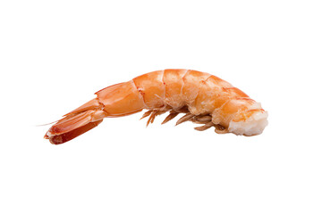 Fresh shrimp on a white isolated background, ideal for seafood dishes and culinary presentations.