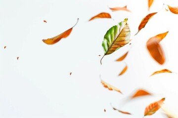 Autumn leaves floating background