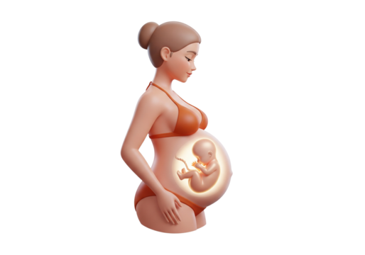 Pregnant Woman with Fetus in Womb - Conceptual 3D Illustration of Pregnancy Journey and Motherhood