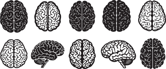 Collection of stylized brain graphics representing thought and intelligence