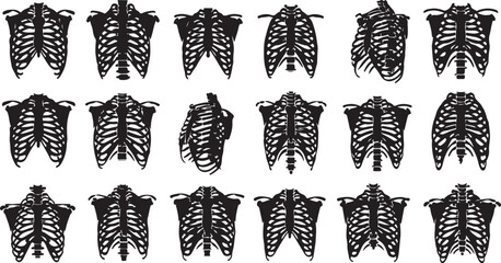 Collection of detailed human rib cage anatomical views for medical and educational use