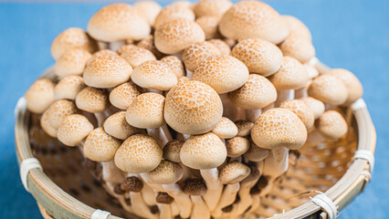 新鮮なぶなしめじの籠盛り、食卓を彩るきのこ