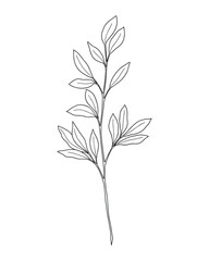 Fototapeta premium Minimalist Botanical Illustration of a Branch with Leaves, Simple Outline Drawing, Black and White Vector Illustration
