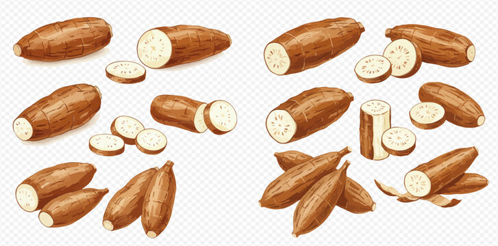 Illustration of cassava roots, whole and sliced, arranged in groups on a transparent background.