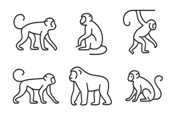 Different monkey poses illustrating various movements and characteristics of the species in a simple artistic style