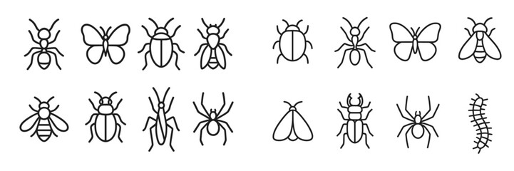 Collection of insect line drawings showcasing diverse species and forms in a minimalist design