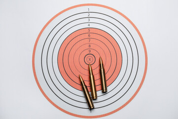 Firearm cartridges on paper target, flat lay