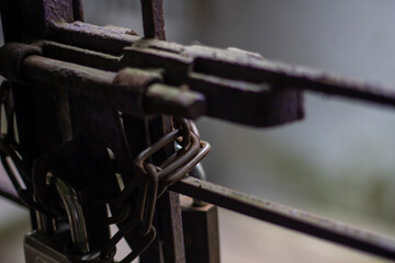 Closeup of a rusty metal gate latch with multiple padlocks attached