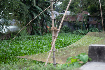 Bamboo fishing net setup in a lush green rural landscape