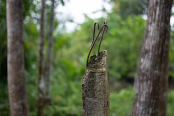 Closeup of a weathered concrete post with rusty rebar protruding
