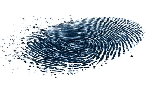 High-resolution macro of fingerprint scanned in dark water