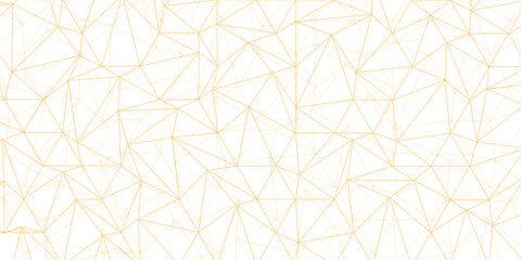 Abstract of simple gray line triangle pattern geometric background .white background creative and geometric shape with white luxury pattern .Gray and white geometric background with low poly triangle