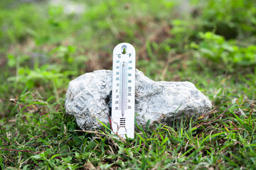 Measuring temperature of natural environment outdoor grassland photography earthy setting close-up climate awareness