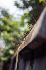 Closeup of metal spikes on a weathered wooden fence with blurred greenery