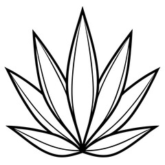 Simple Agave Plant Leaves Illustration