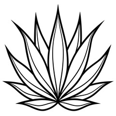 Simple Agave Plant Leaves Illustration