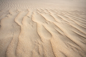 Sand structures in the dunes of the North Sea island of Norderney. Wind erosion creates fine waves in the dry sand of the Wadden Sea National Park. Monochrome natural background with selective focus.