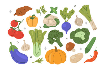 Vegetables and greens set. Cabbage, radish, pumpkin, mushroom, eggplant, tomato assortment collection. Harvesting concept. Vector illustration.
