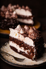 A piece of tiramisu cake with chocolate and whipped cream on dark background vertical photo