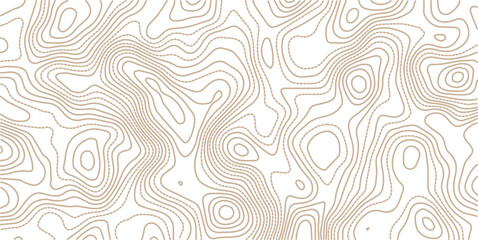Topographic map background. Geographic line map with elevation assignments. Contour background geographic grid. Vector illustration.