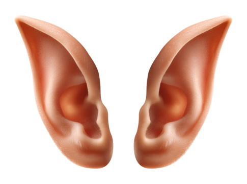 Pointy Elven Elf Ears Isolated on Transparent Background PNG
