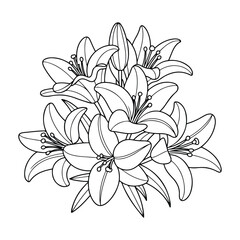 Vector illustration of lily flower - Cute & Cozy Coloring Book for Relaxation and Creativity. Coloring Pages for Kids & Adults, line art vector illustration, Easy