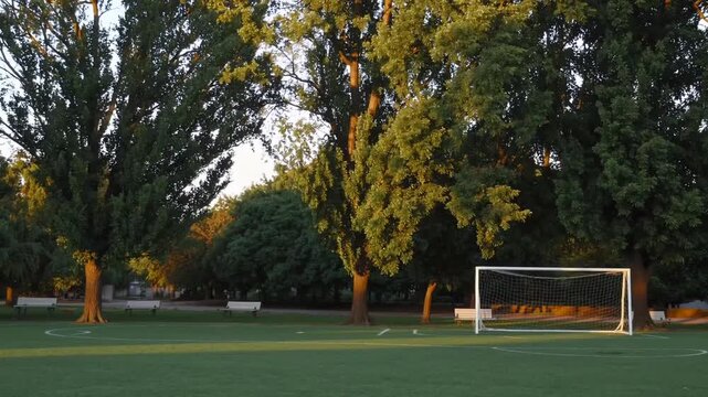small soccer field complete with goal is situated within public park for recreational use