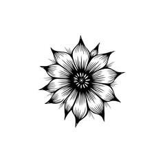 Obraz premium Elegant botanical illustration featuring a spiky blossom in monochromatic design suitable for
