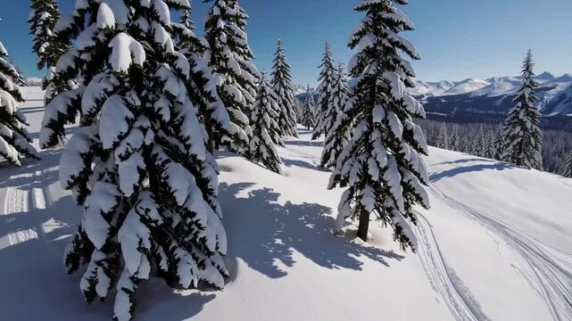scenic elevated winter landscape view of popular ski area covered in fresh layer of powder snow