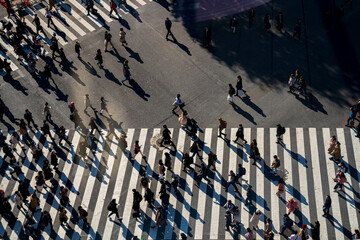 Pedestrians crossing a crosswalk in Shibuya, Japan © Denise