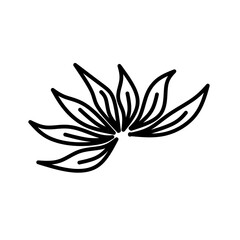 black and white flower