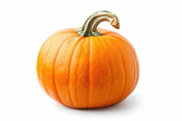 Obraz premium Fresh orange pumpkin isolated white