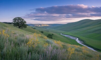 Fototapeta premium Scenic valley at dawn, grassy hills, wildflowers
