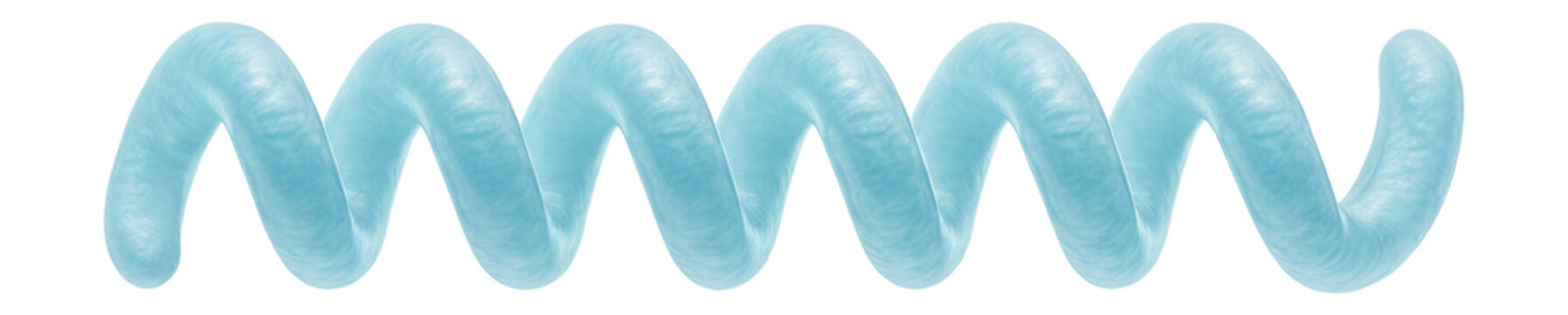 Chain of spirilla bacteria with linked, spiral segments and uniform twists