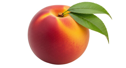 Isolated Nectarine