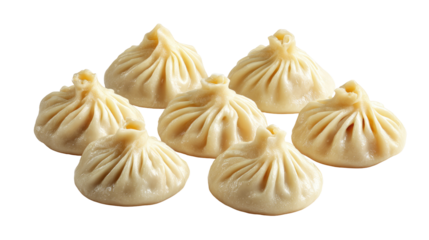 Set of Soup Dumplings, Tangbao, Jiaozi, Gyoza, Pierogi on Transparent Background